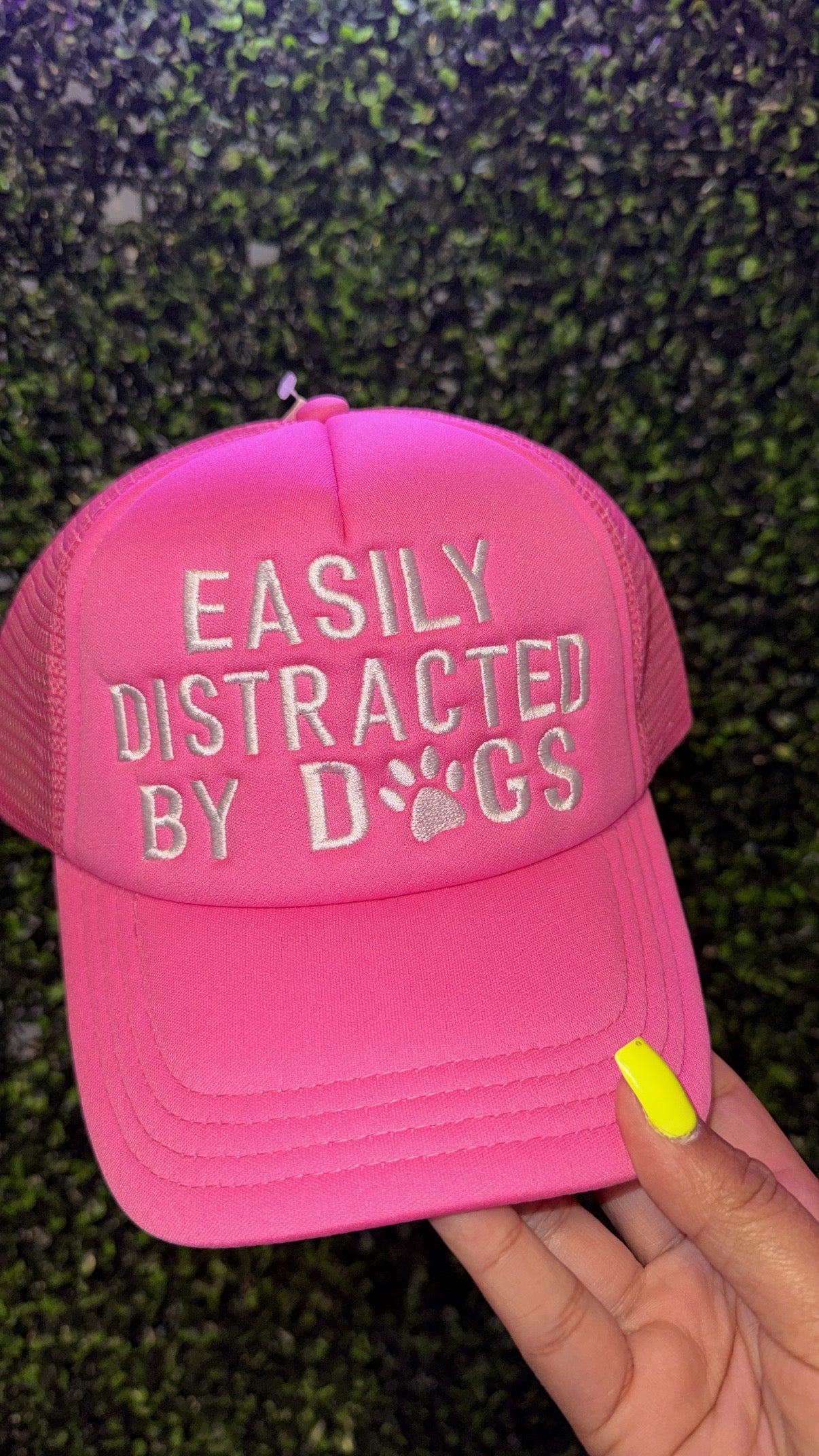 Easily Distracted by Dogs Cap