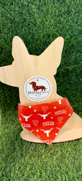 Whiskey & Co Texas Longhorns Collar Bandana