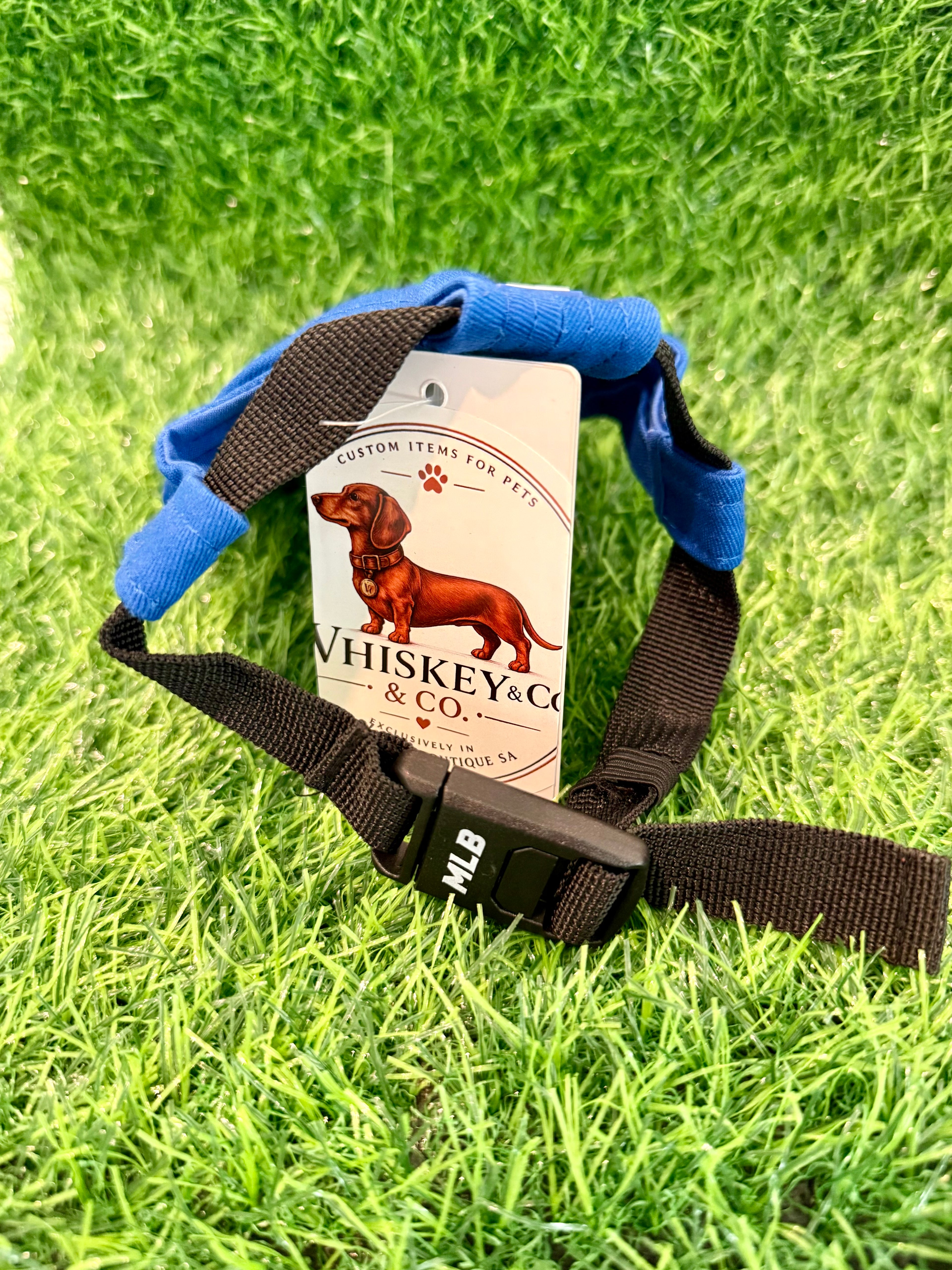 Whiskey & Co Dodgers Pup Cap