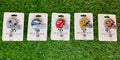 Football Helmet Badge Reels