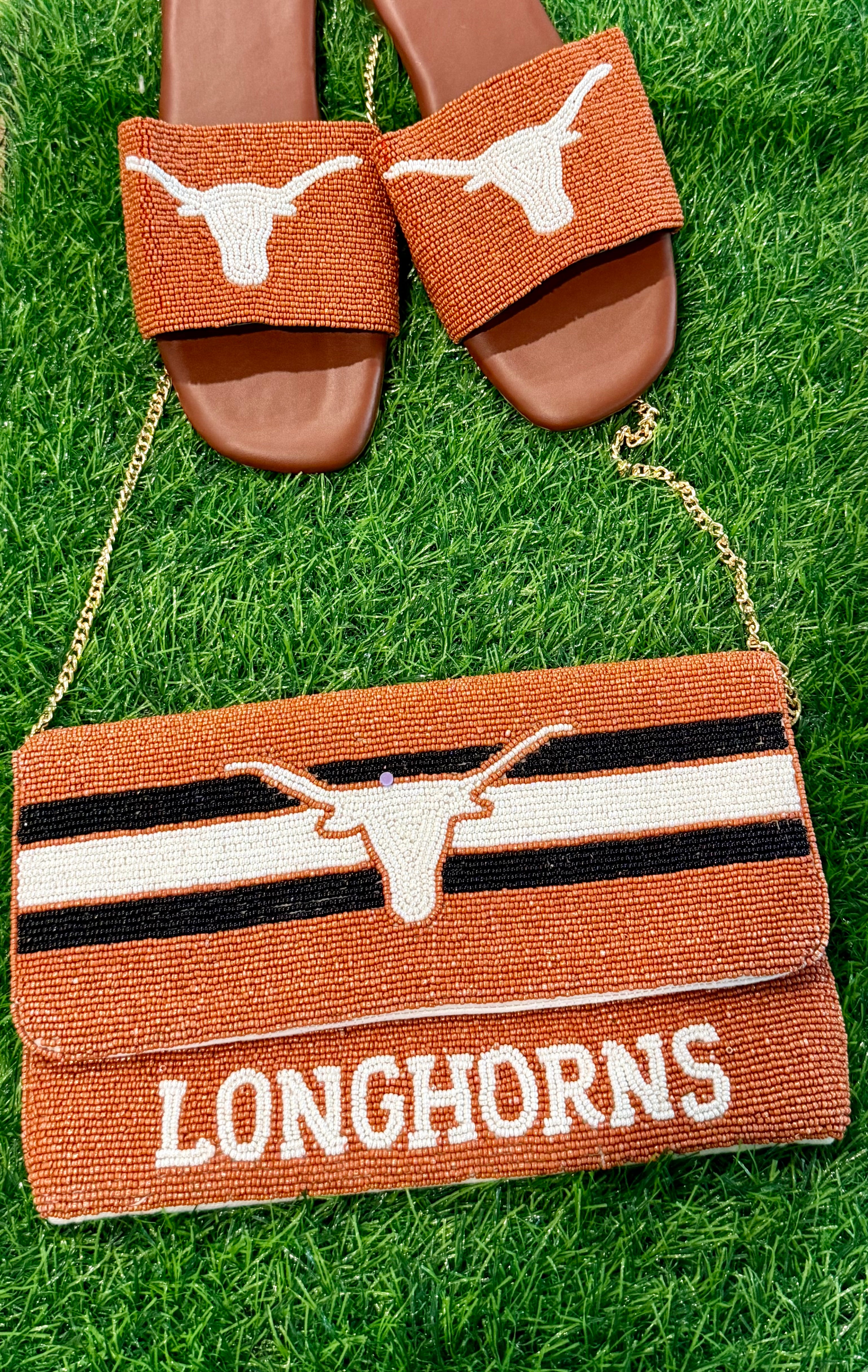 Longhorn Beaded Crossbody Purse