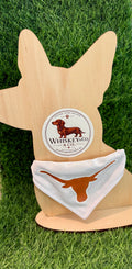 Whiskey & Co Longhorn Collar Bandana