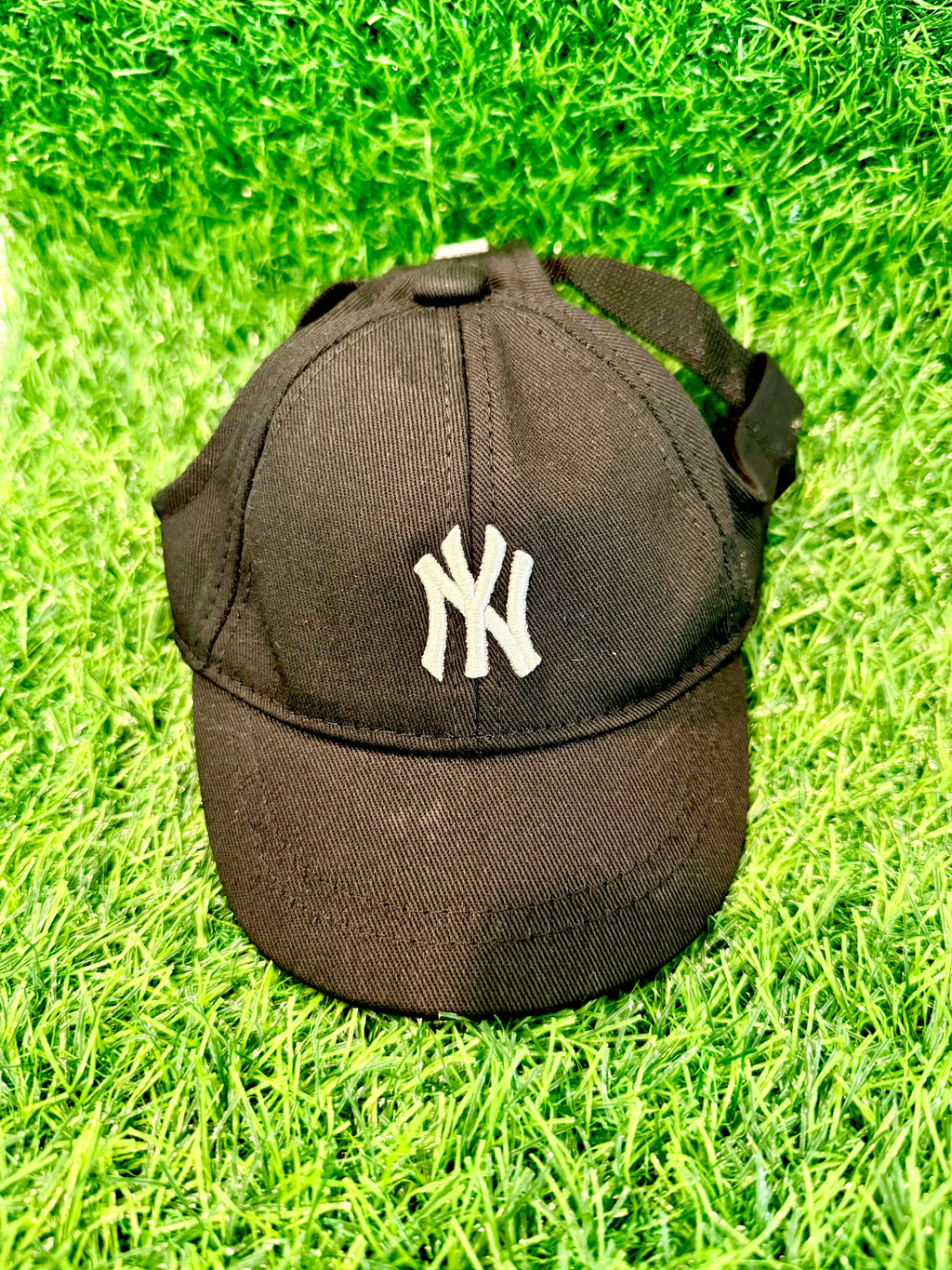 Whiskey & Co Yankee Pup Cap