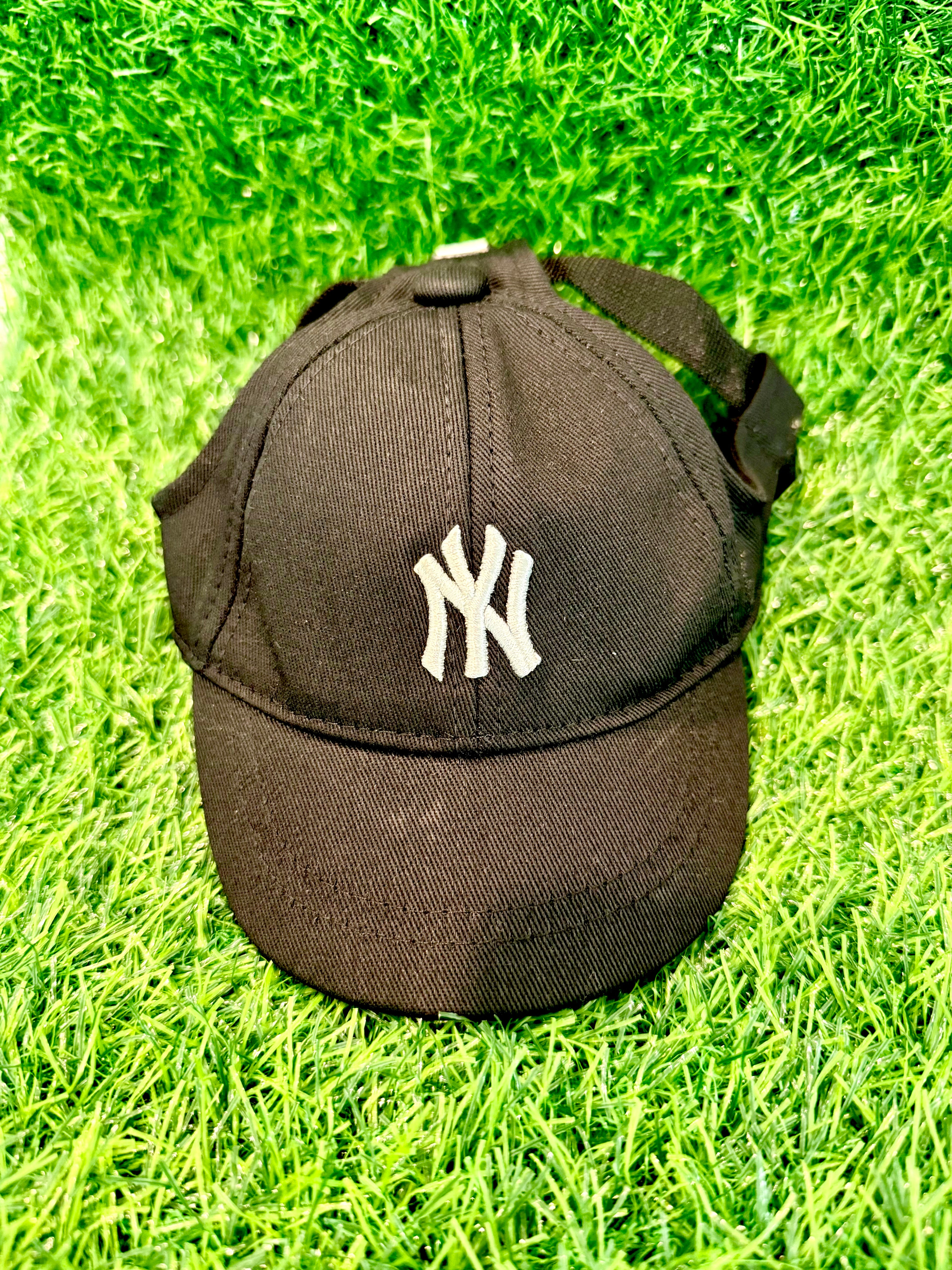 Whiskey & Co Yankee Pup Cap