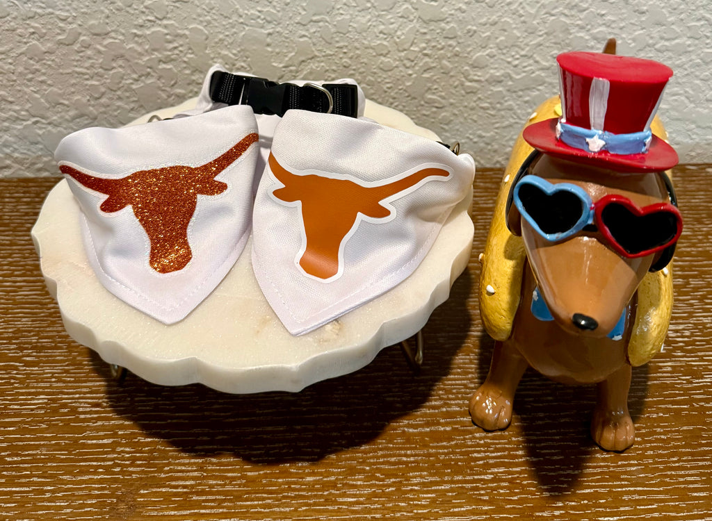 Whiskey & Co Pre-Order Longhorns Collar Bandana