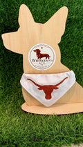 Whiskey & Co Longhorn Glitter Collar Bandana