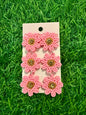 Blooming Flower Earrings